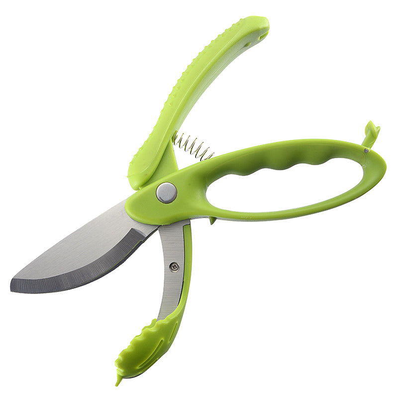 Salad Chopper with Double Blades