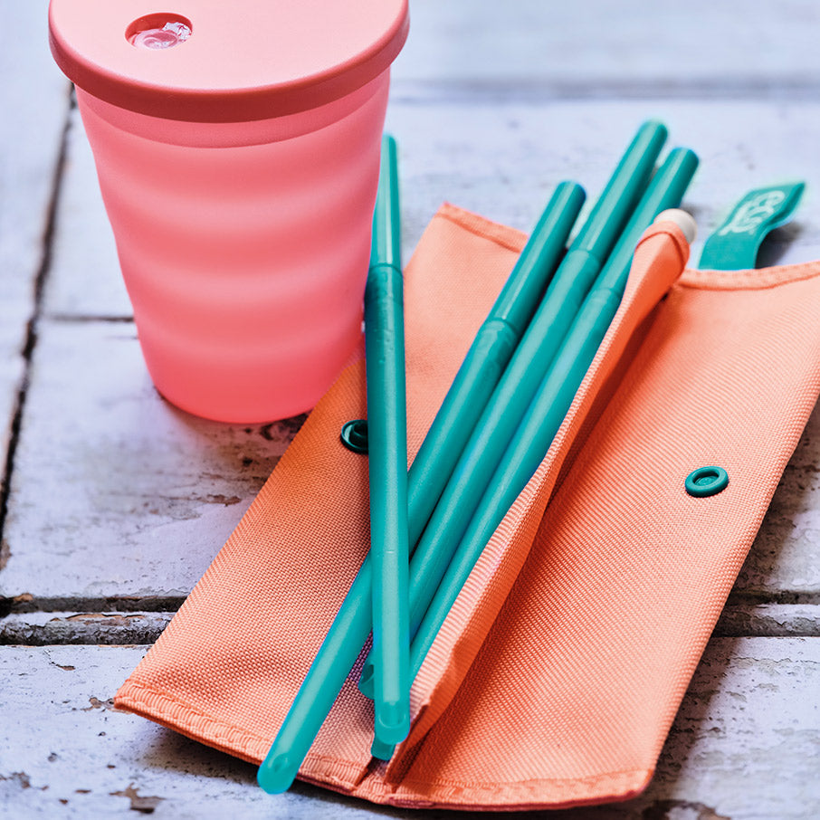 Eco+ Straw Set